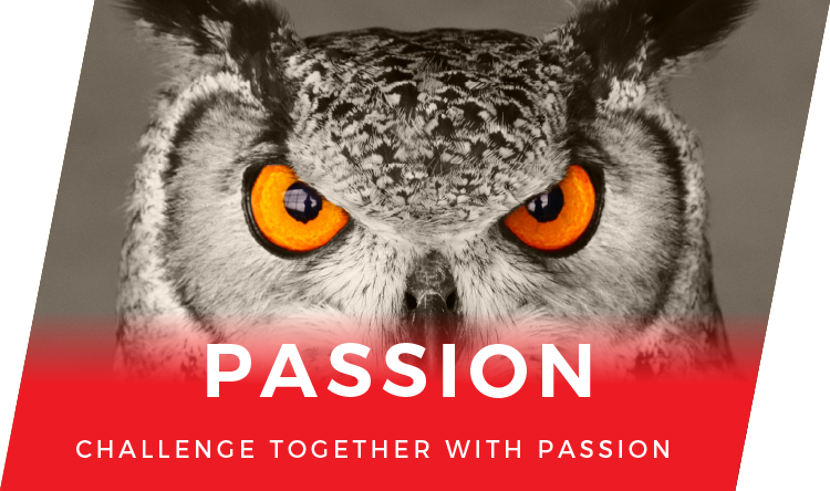 Passion Challenge together with passion